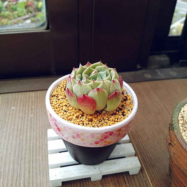 mymさんの実例写真