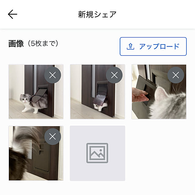 cotoriさんの部屋