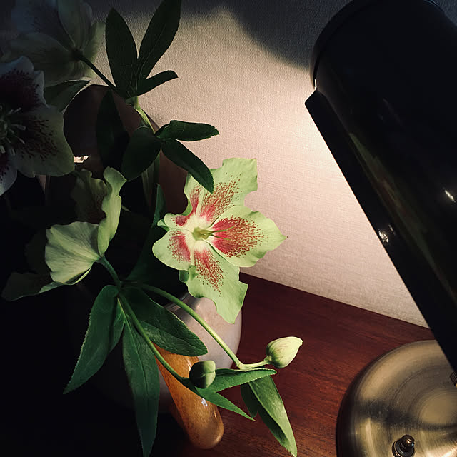 happy-sachiさんの実例写真