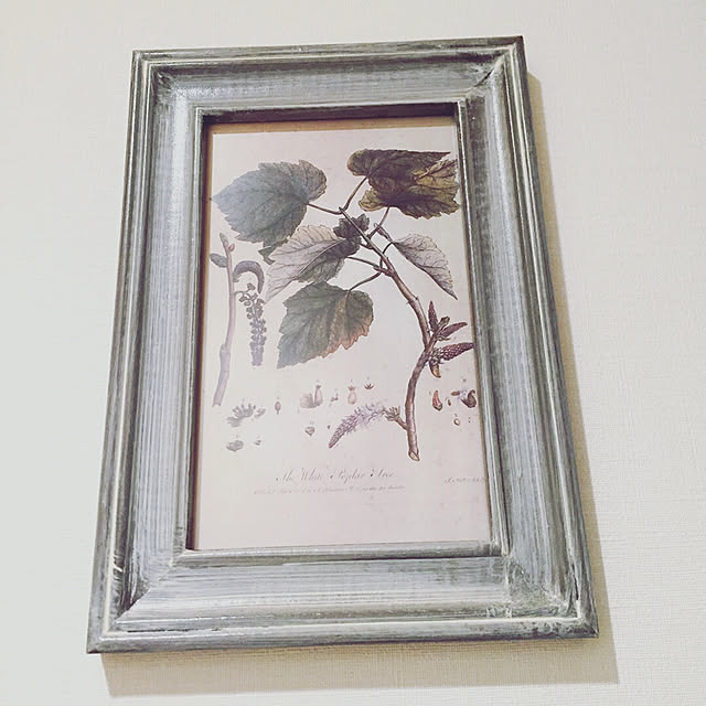 botanical_fieldさんの実例写真
