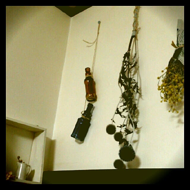 壁/天井/DIY/雑貨/植物/ﾄﾞﾗｲﾌﾗﾜｰのインテリア実例 - 2014-04-18 19:25:07