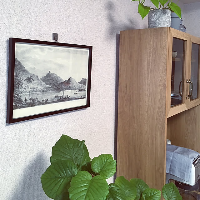 naoさんの実例写真