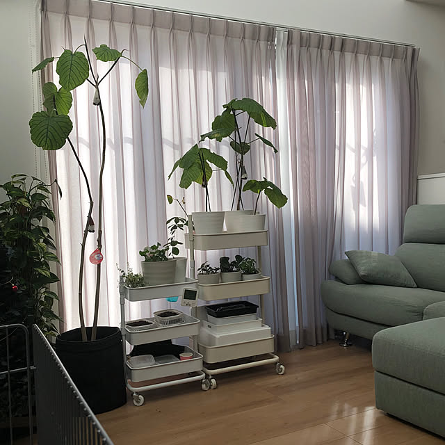 pinkflower_Potagerさんの部屋