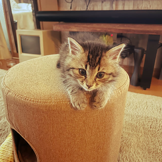 Mさんの実例写真