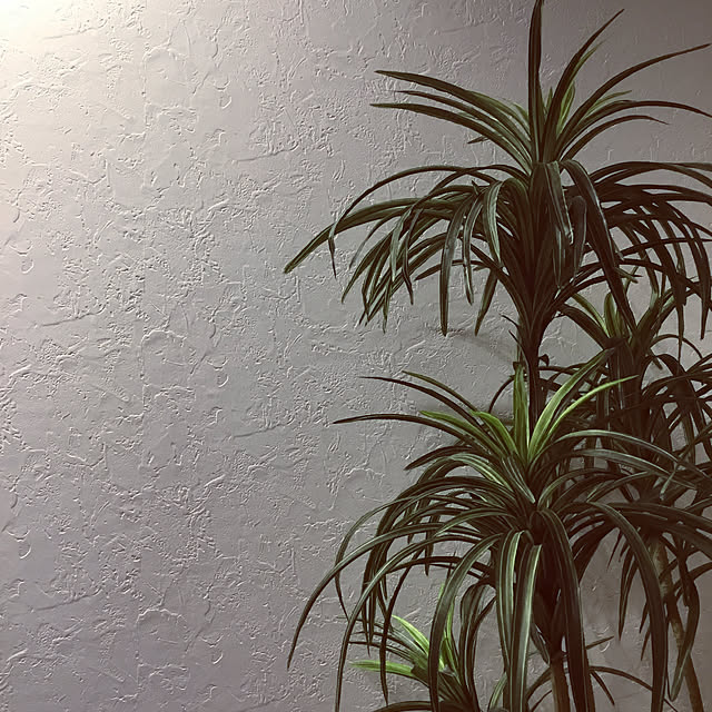 kooliberoさんの実例写真