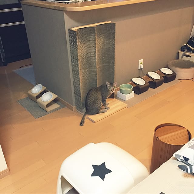 yuki0511さんの実例写真