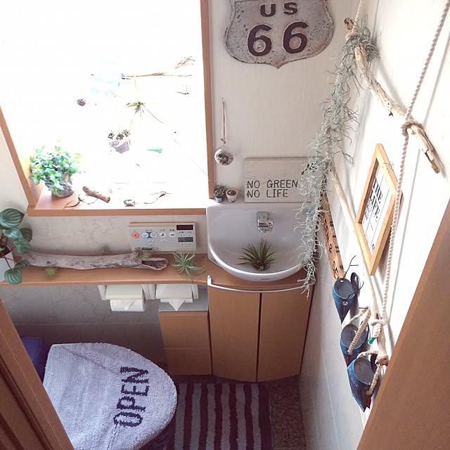 anz00さんの実例写真