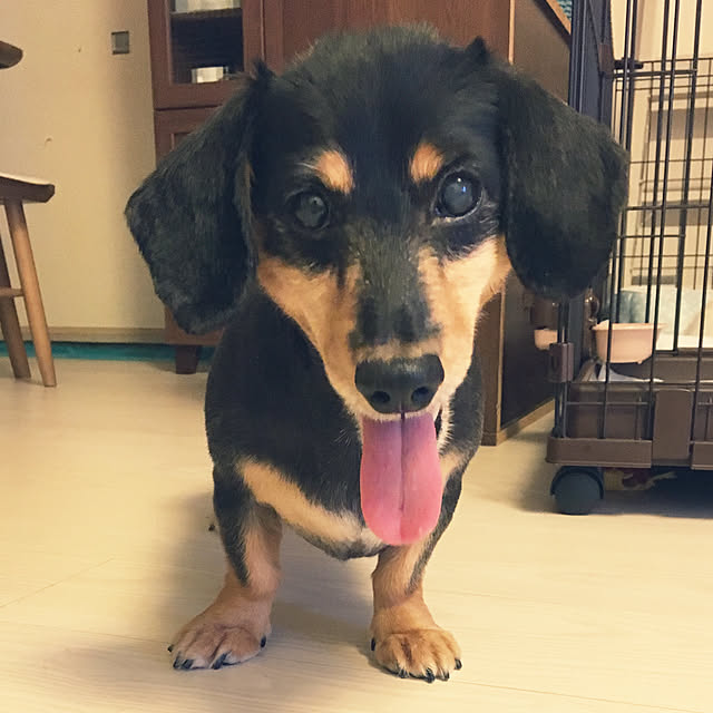 ohanaさんの実例写真