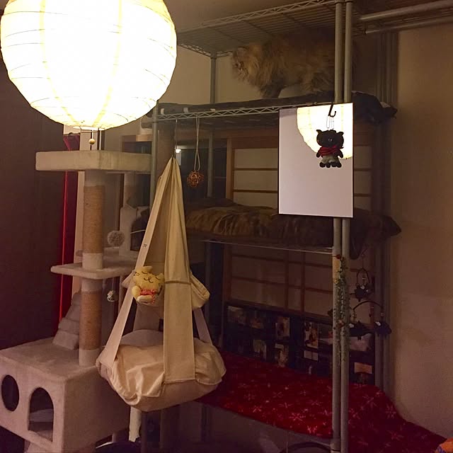 butachanさんの実例写真