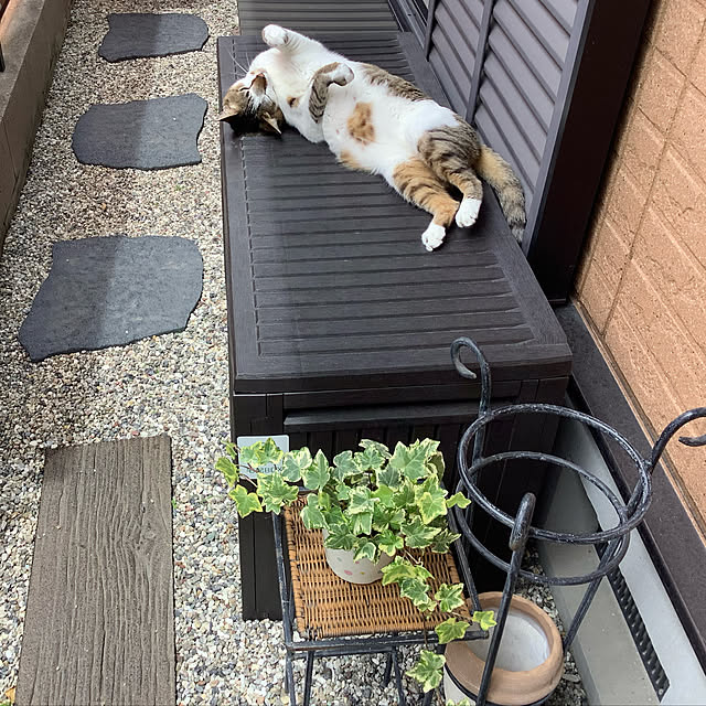 haruminさんの実例写真