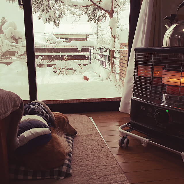 moccaさんの実例写真