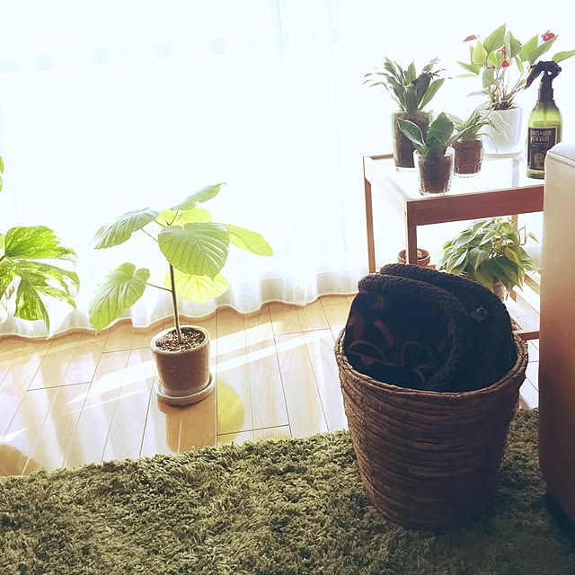 ikkaさんの実例写真