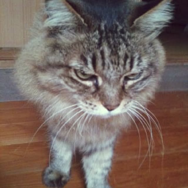 oneEさんの実例写真