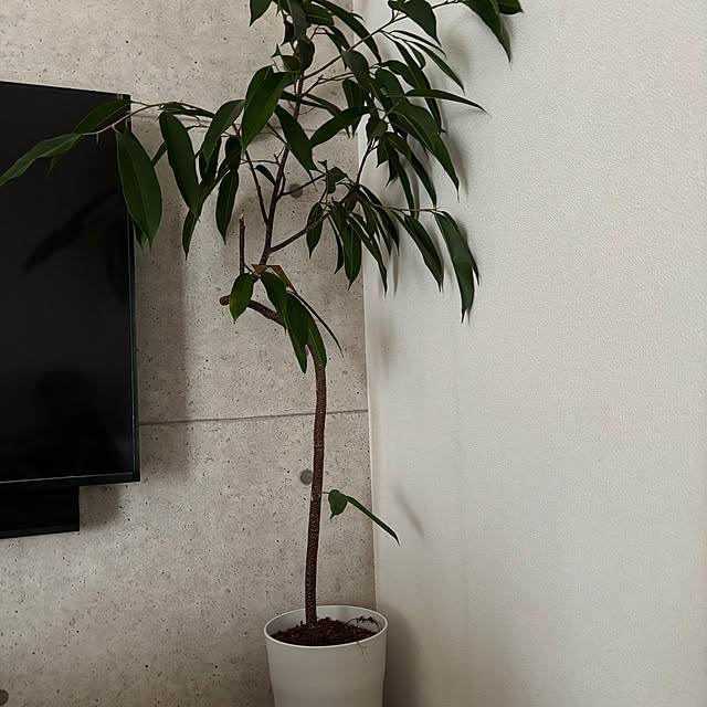 mii.ukr111さんの部屋