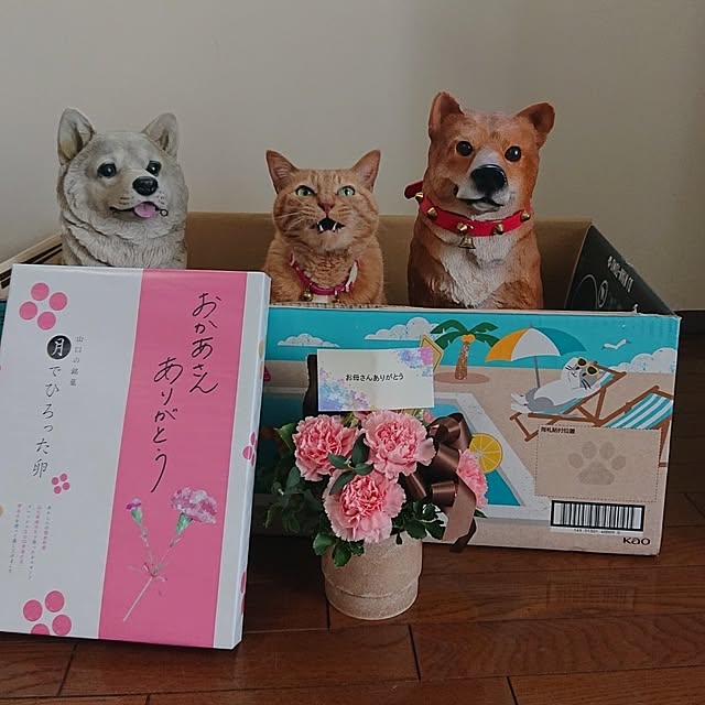 NOAHさんの実例写真