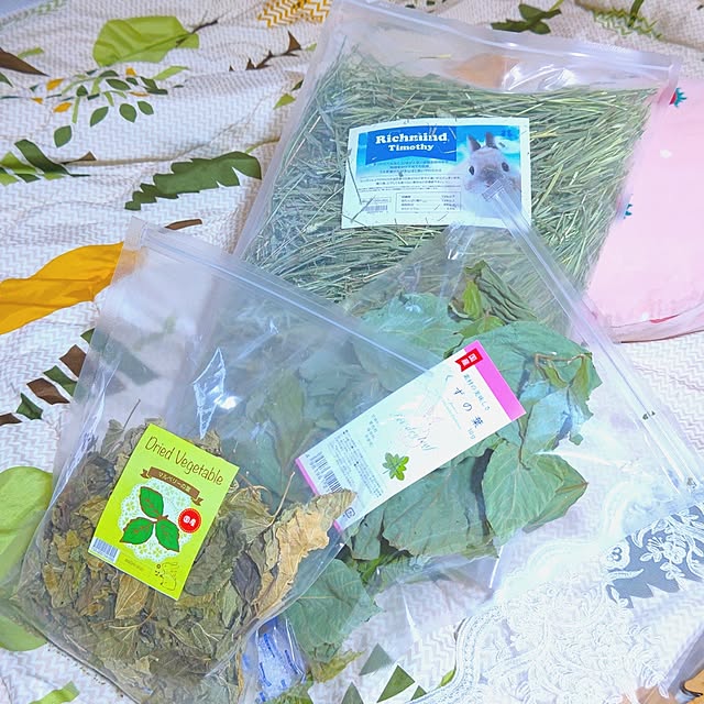 mariaさんの部屋