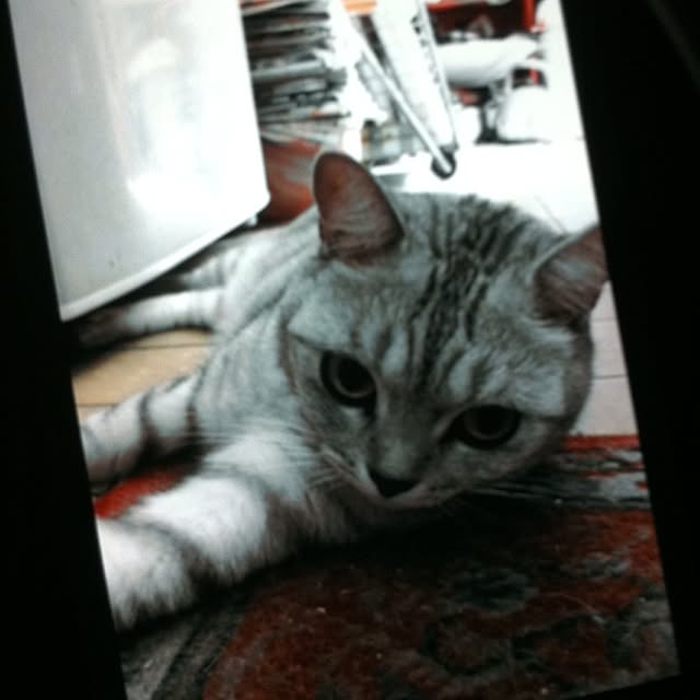 Mokoさんの実例写真