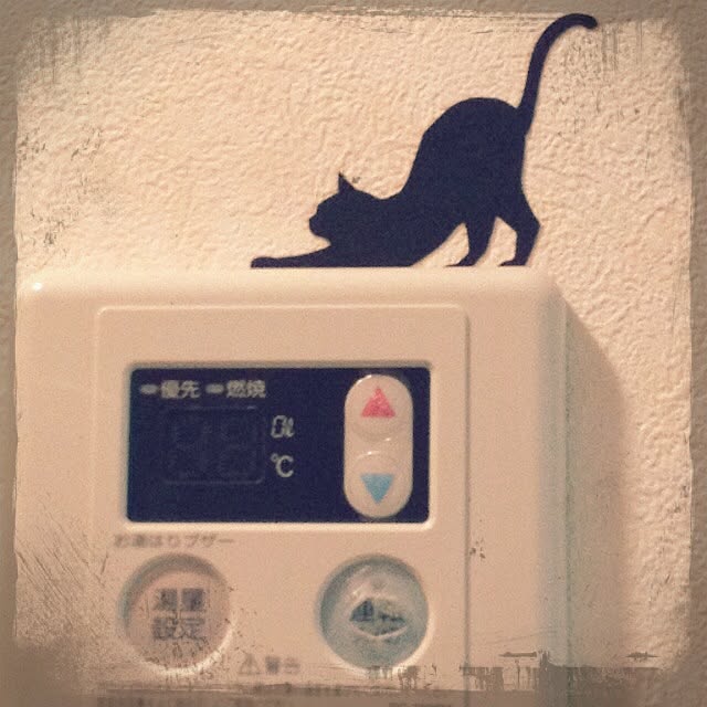 Masamiさんの実例写真