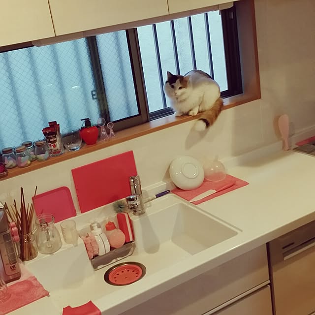 kumi-kumiさんの実例写真