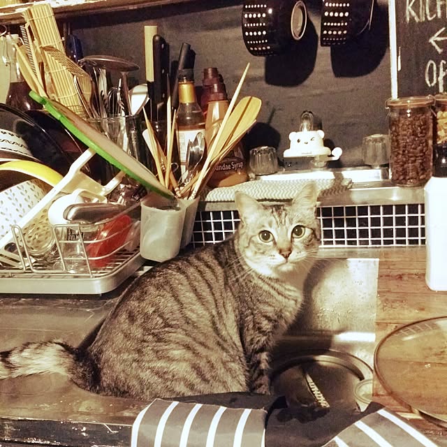 annさんの実例写真