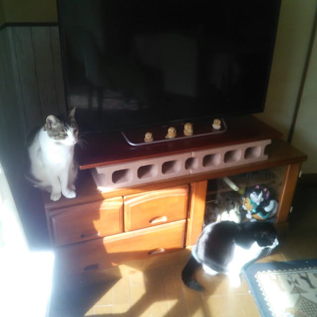 tomopさんの実例写真