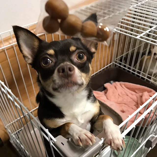 nacchintunnさんの実例写真