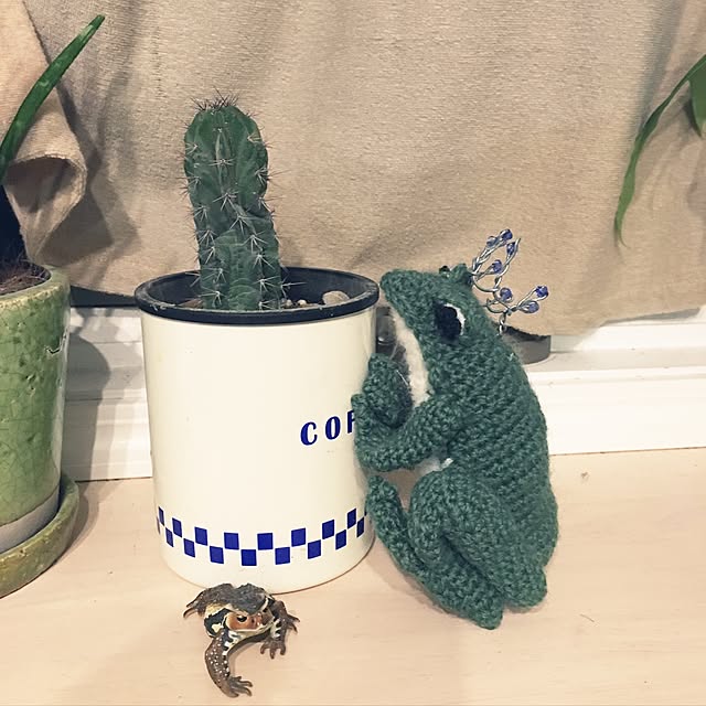 romiさんの実例写真