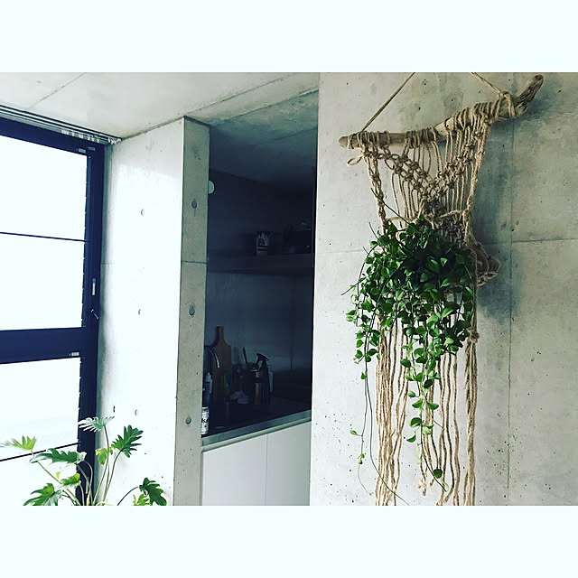 Shuheiさんの実例写真