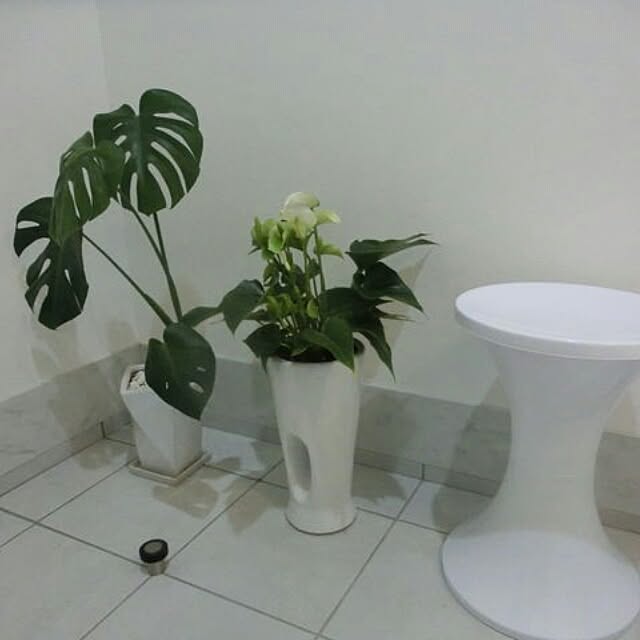interior_amiさんの実例写真
