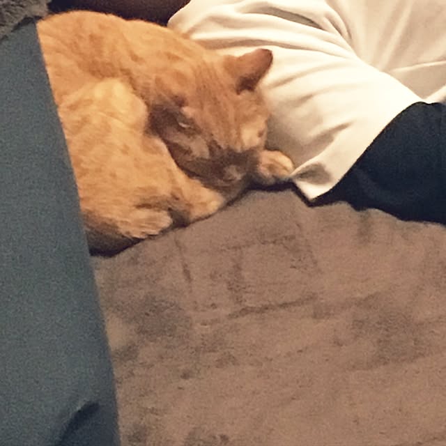 rumiさんの実例写真