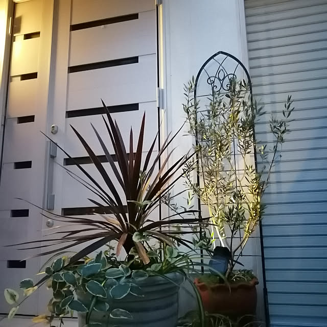 VERANDARJUNさんの実例写真