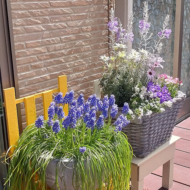 38catさんの実例写真