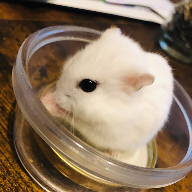 Hanaさんの実例写真