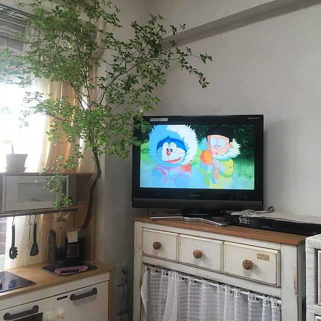 mikiponさんの実例写真