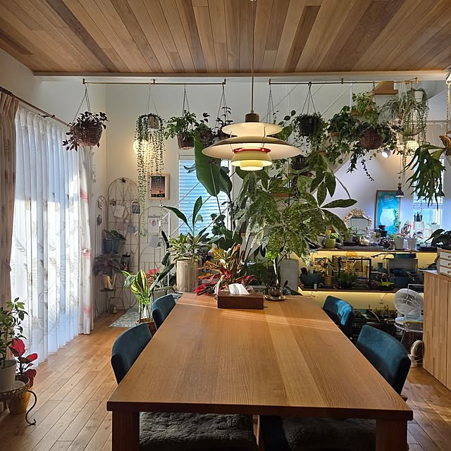 nonbiri_house_さんの部屋