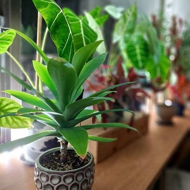 Rさんの部屋