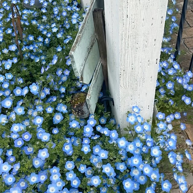 usakoさんの部屋