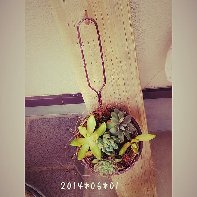 natuさんの実例写真