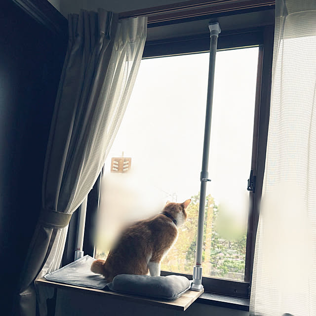 shi622さんの部屋