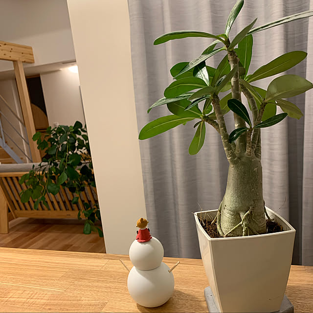 h_home.hさんの実例写真