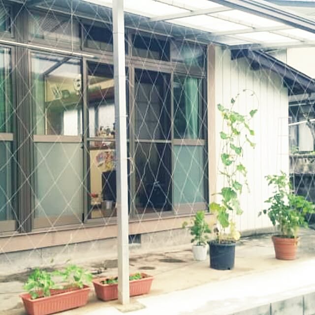 hana.1321jpさんの実例写真