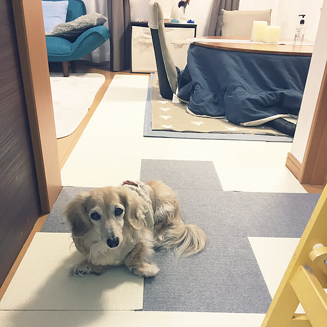 chiiiさんの実例写真