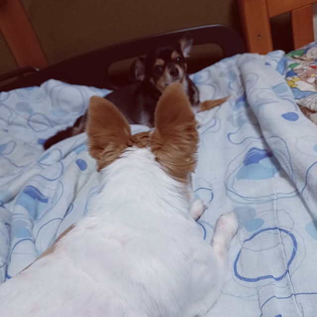 hiro-yさんの実例写真