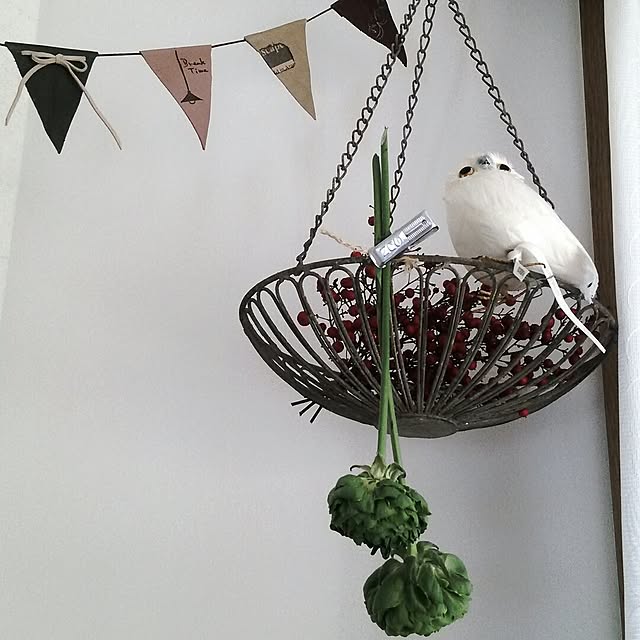 kochaさんの実例写真