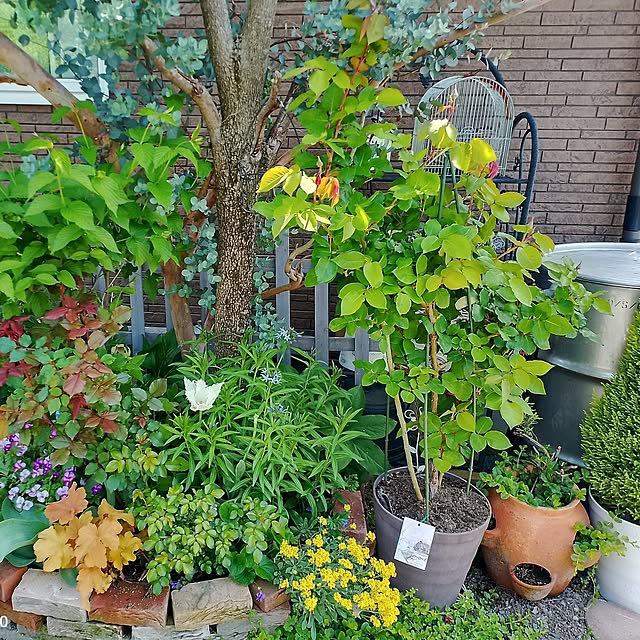 civicglさんの部屋