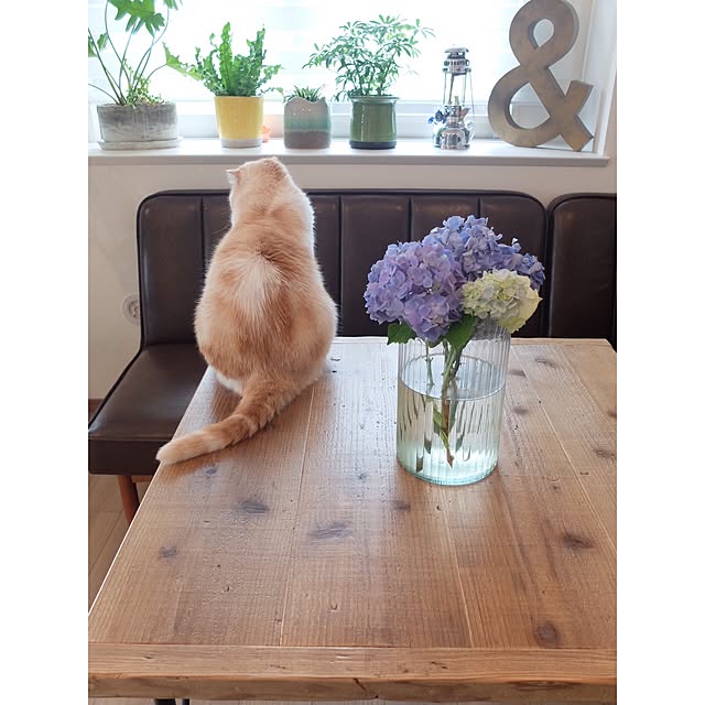 hara0707さんの実例写真