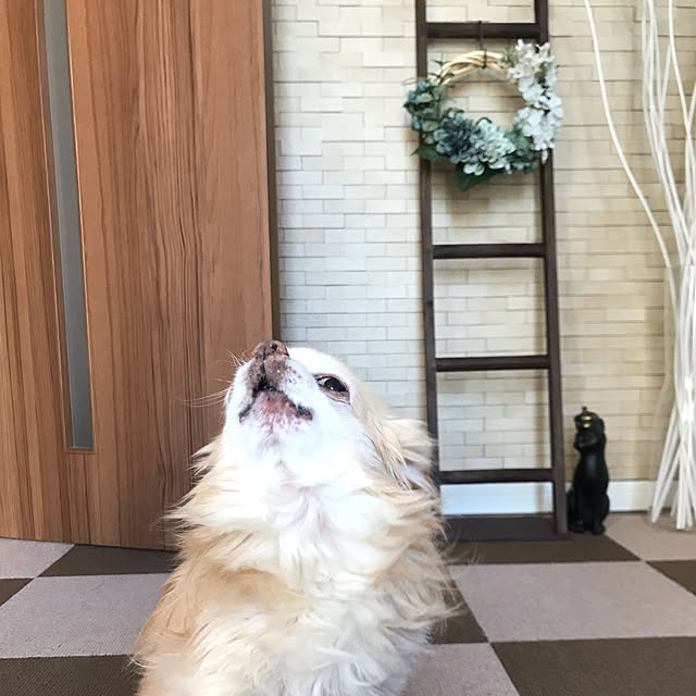 MIUさんの実例写真
