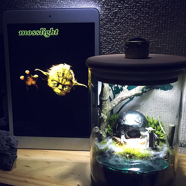 mosslightさんの実例写真