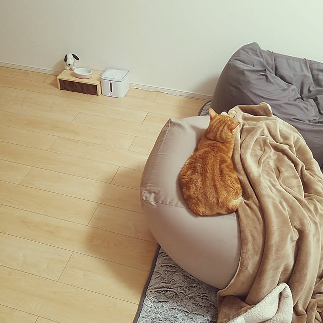 shiiさんの実例写真