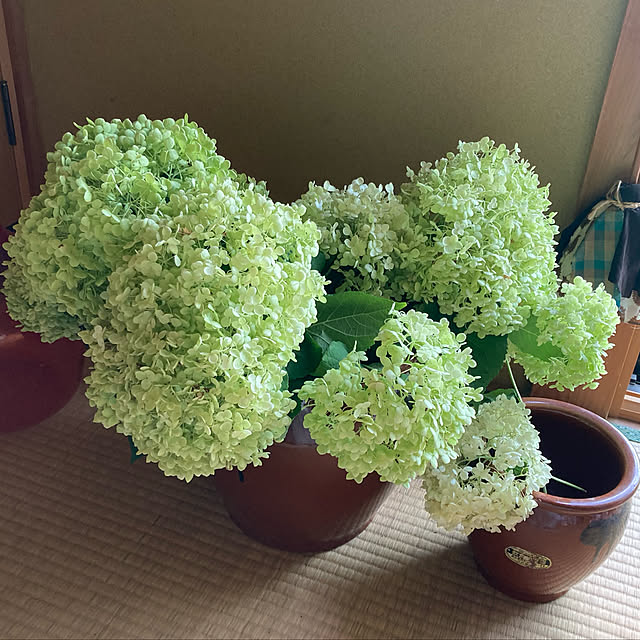 CoCo0617さんの実例写真